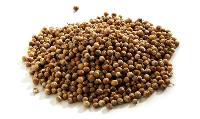 Hierbas Del Oasis KG CORIANDRO 1 Kg