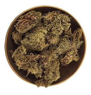 Hierbas Del Oasis KG YERBA DE LA PIEDRA 1 Kg