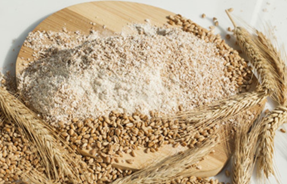 YIN YANG HARINA INTEGRAL ORGANICA S/FINA  25 KG