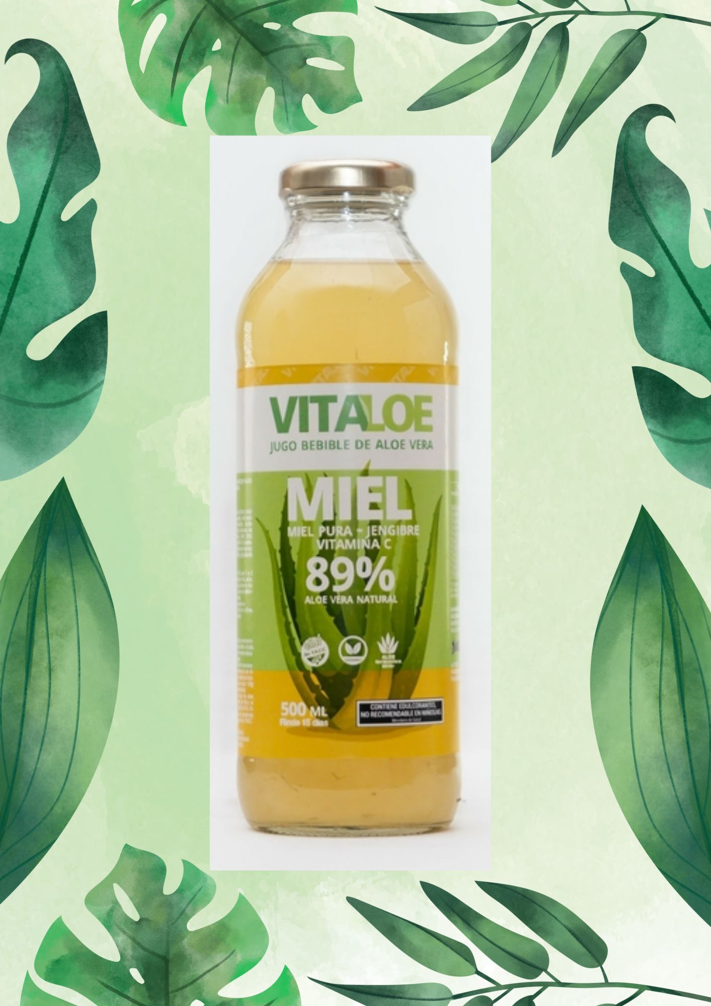 VITALOE MIEL, JENGIBRE, VIT C 950 ML
