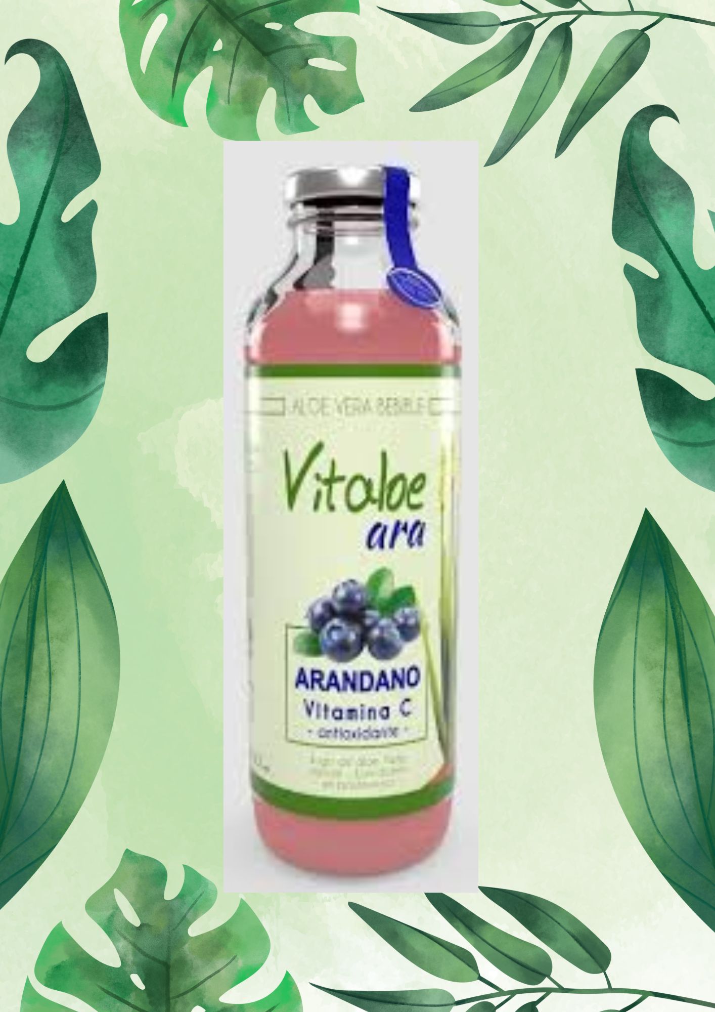VITALOE ARA ARANDANO, VIT C 950 ML