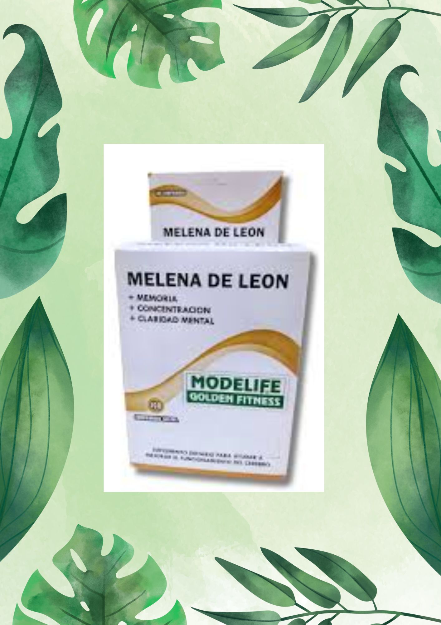 MODELIFE MELENA DE LEON 100 COMP