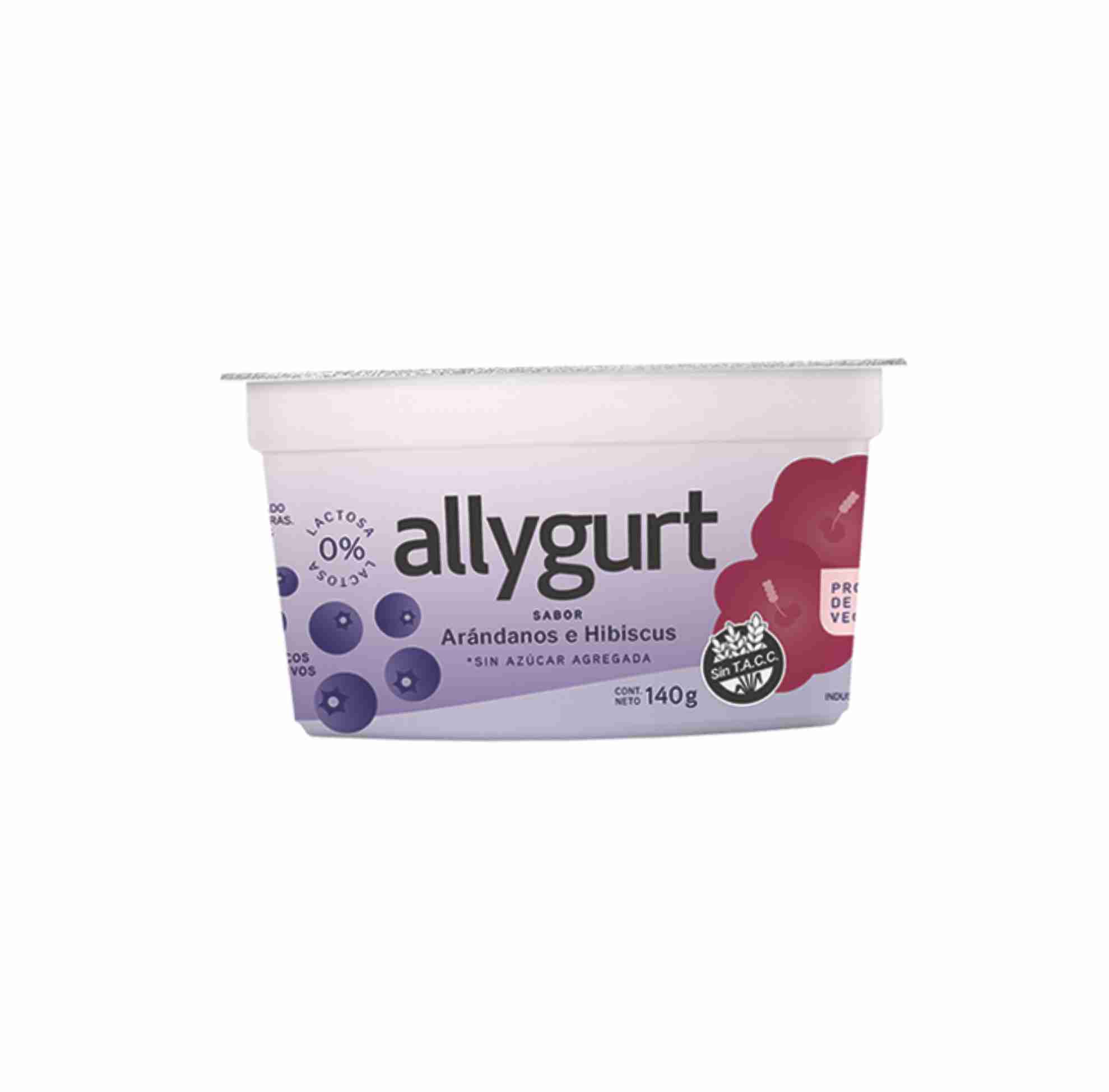 QUIMYA YOGUR ALLYGURT ARANDANOS E HIBISCUS 140 GRS