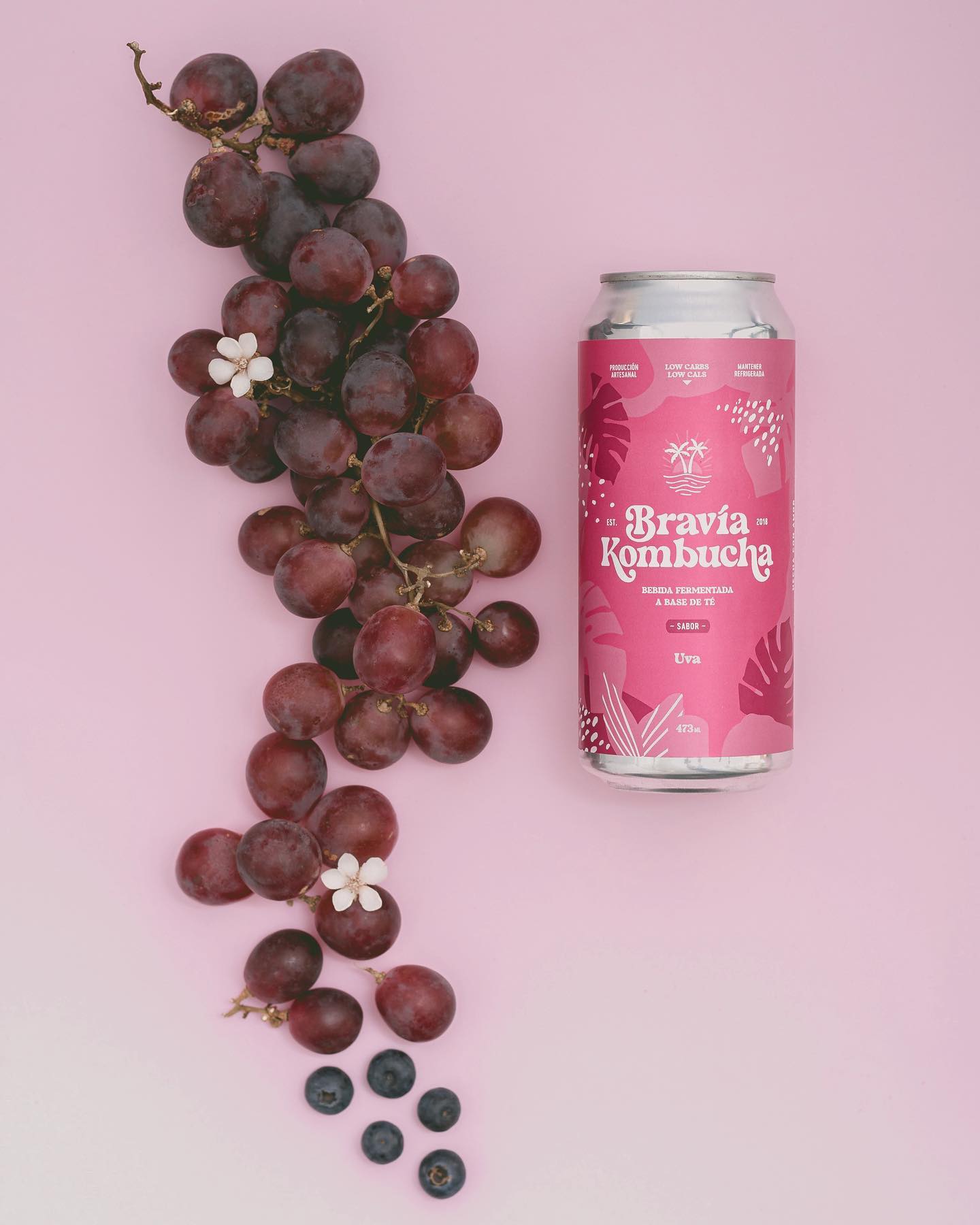 VIVET KOMBUCHA UVA 473 ML