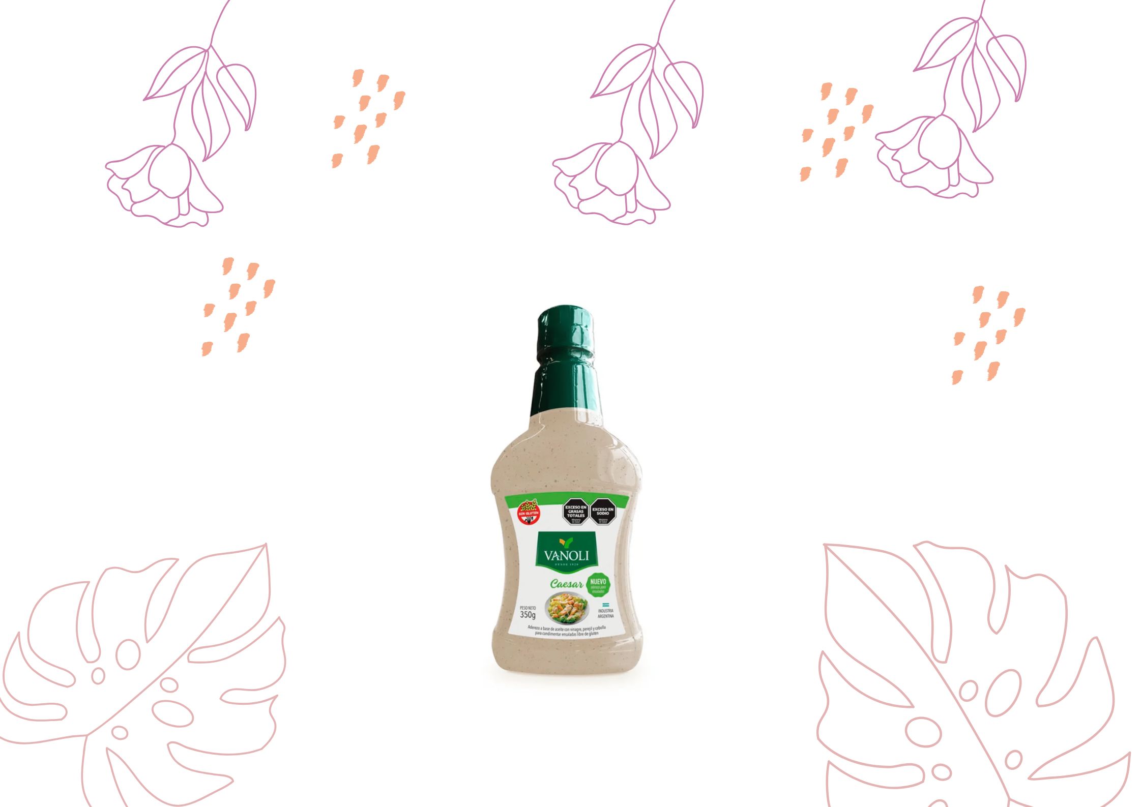 VANOLI CAESAR 350 GRS