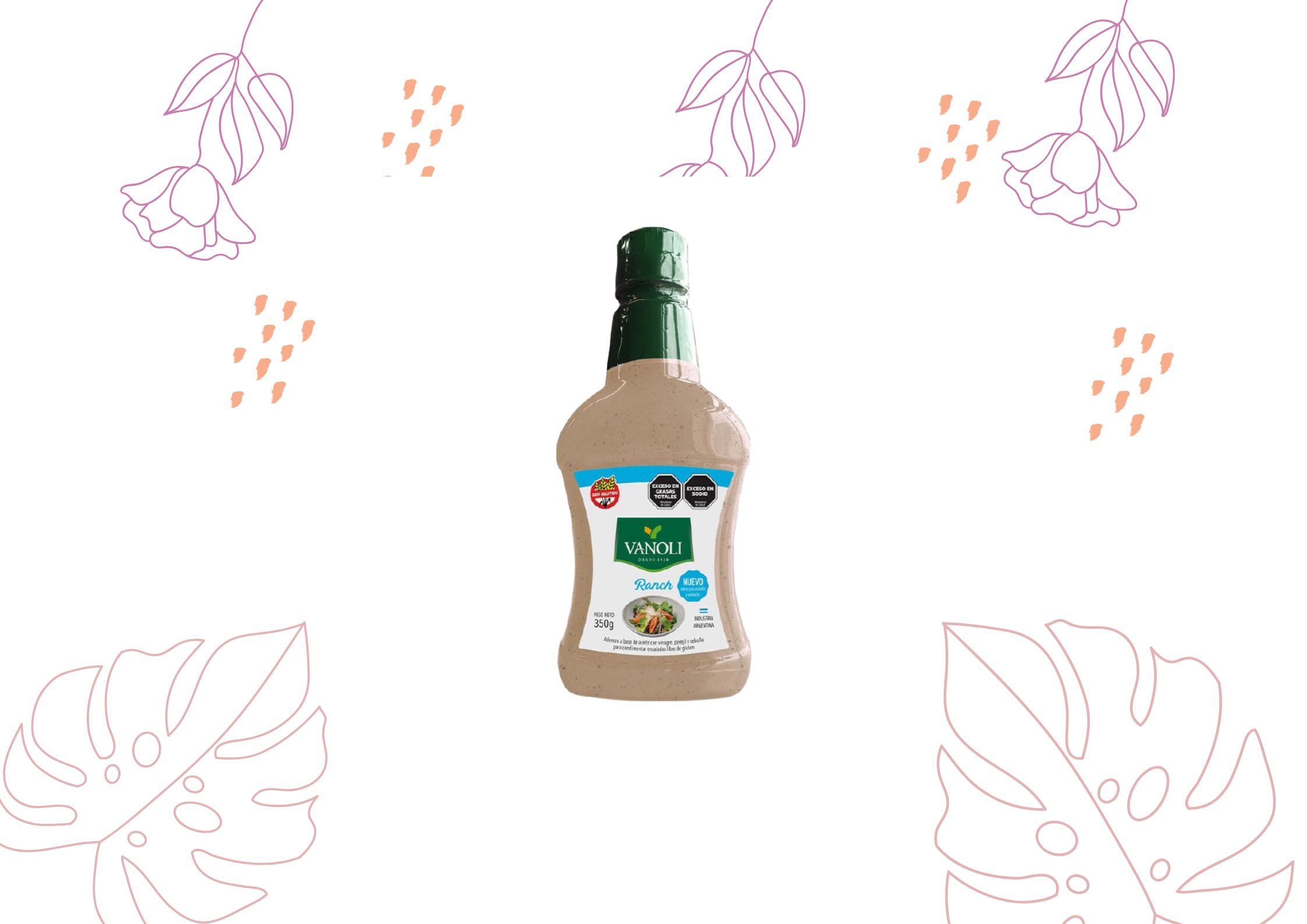 VANOLI SALSA RANCH 350 GRS