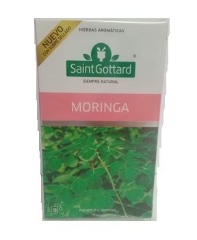 SAINT GOTTARD MORINGA 20 SAQ