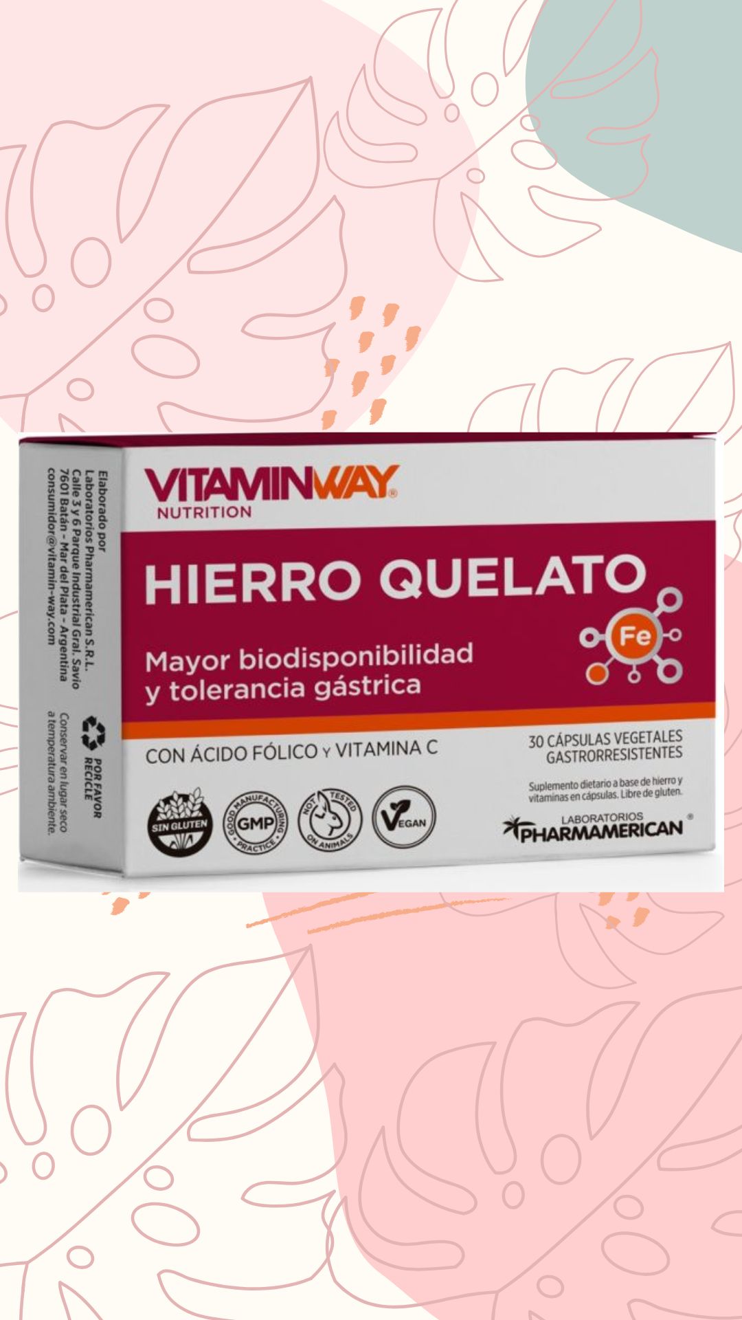 VITAMINWAY HIERRO QUELATADO 30 CAPS