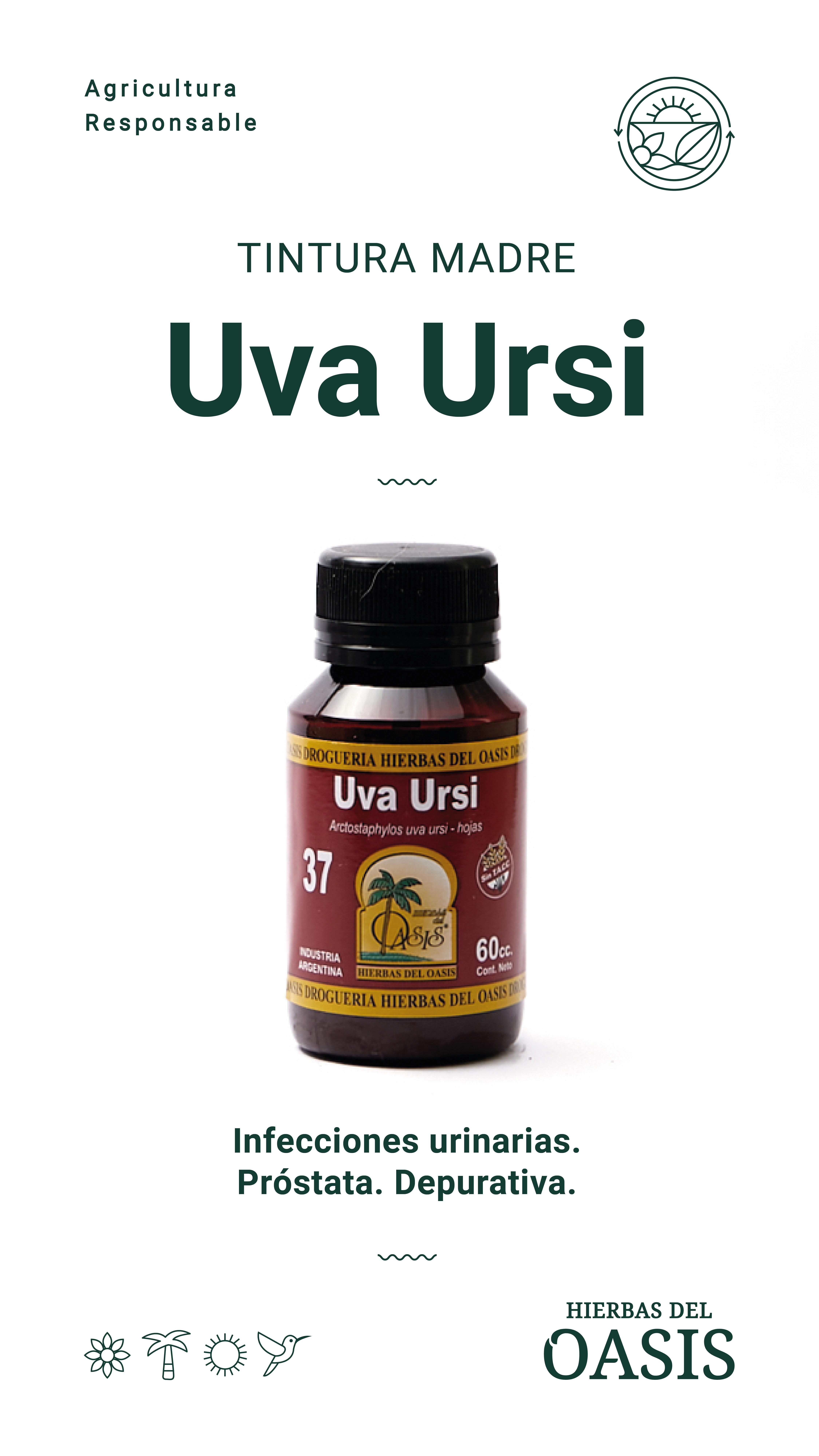 Hierbas Del Oasis TINTURA MADRE Nº 37 UVA URSI 60 cc