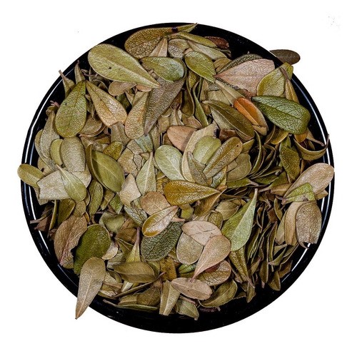 Hierbas Del Oasis KG UVA URSI 1 Kg