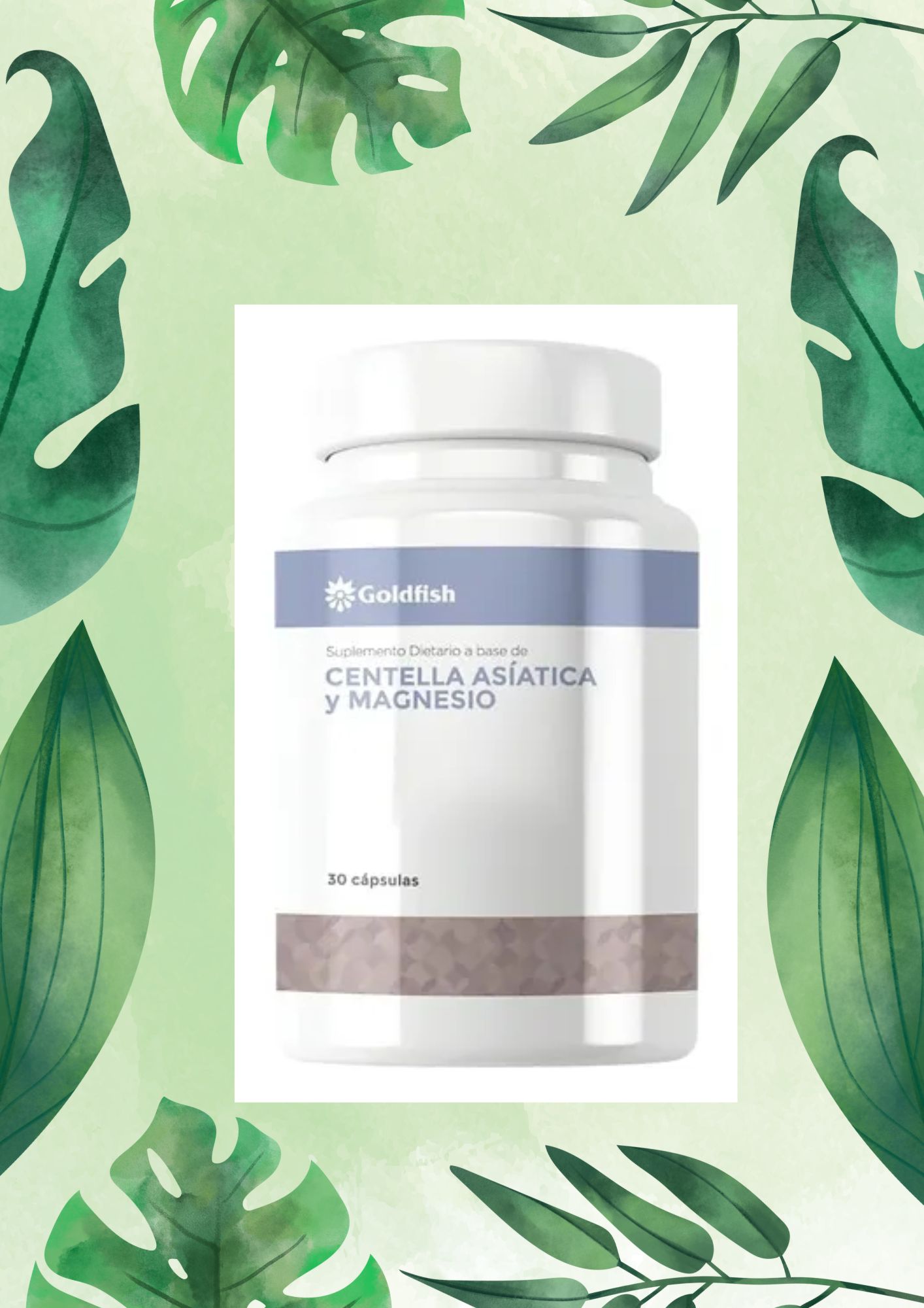 GOLD FISH CENTELLA ASIATICA Y MAGNESIO 30 CAPS