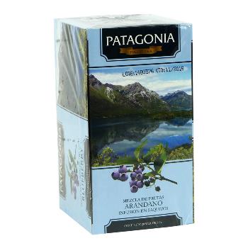 Patagonia TE ARANDANO 20 saq