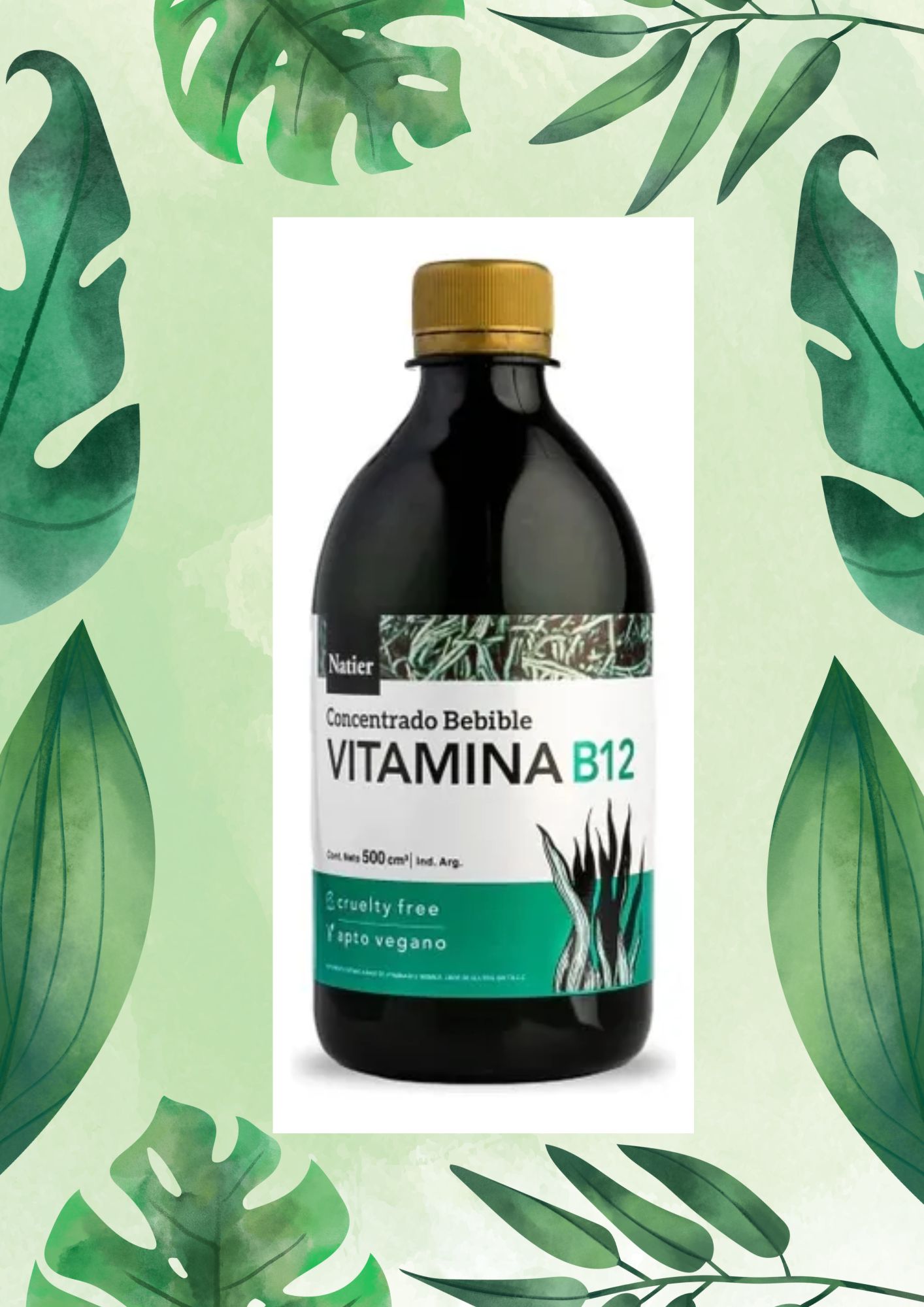 NATIER VITAMINA B12 500 ML