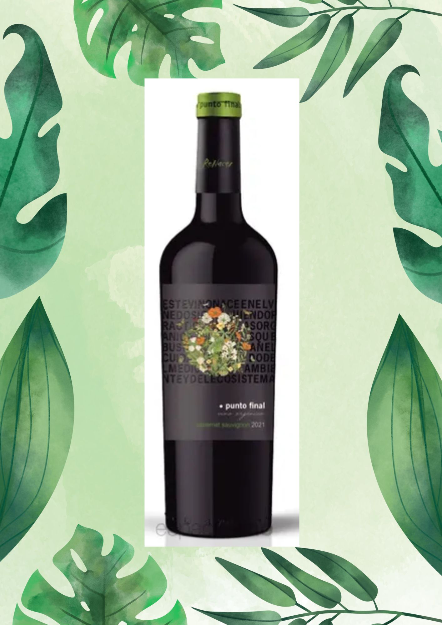 PUNTO FINAL CABERNET SAUVIGNON 750 ML