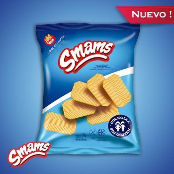 SMAMS GALLETITAS VAINILLA COLEGIAL 150 GRS