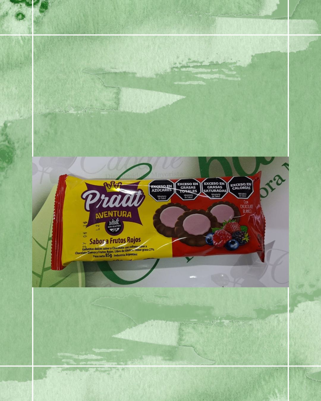 PRAAT AVENTURA CHOCOLATE FRUTOS ROJOS 85 GRS