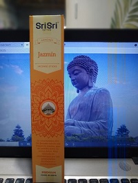 AYURVEDA SAHUMERIO JAZMIN 20 GRS