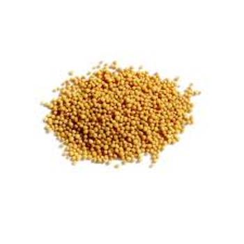 ALIM DEL PLATA MOSTAZA AMARILLA GRANO 1 kg