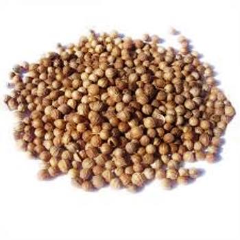 ALIM DEL PLATA CORIANDRO EN GRANO 1 kg