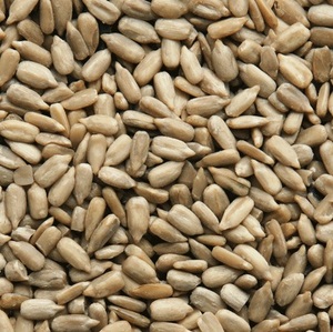 ALIM DEL PLATA GIRASOL 5 KG