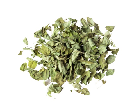 ALIM DEL PLATA MORINGA 1 KG