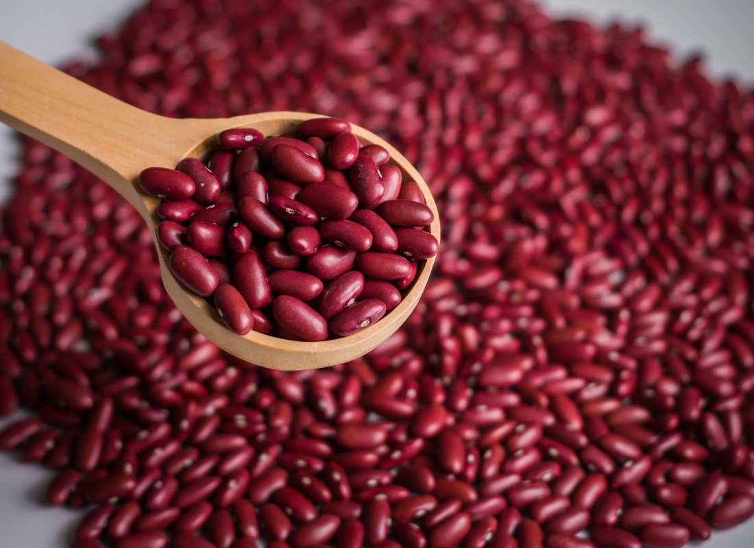 ALIM DEL PLATA POROTO COLORADO 5 KG