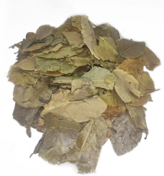 GUIRAL GRAVIOLA 50 GRS