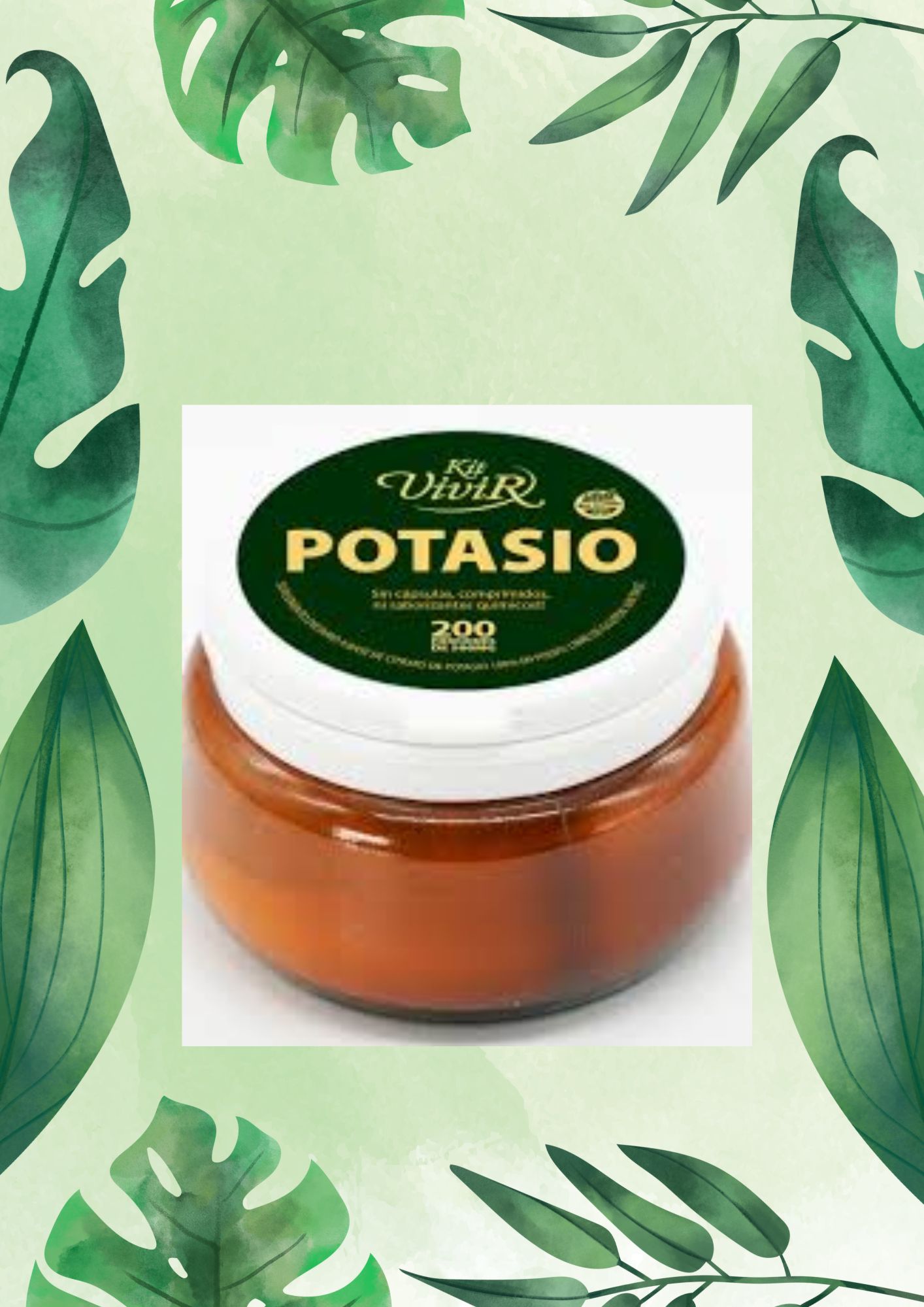 KIT VIVIR POTASIO POTE 100 GRS