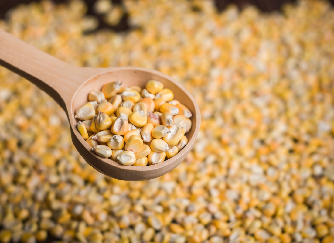 MELAR MAIZ AMILACEO 5 KG