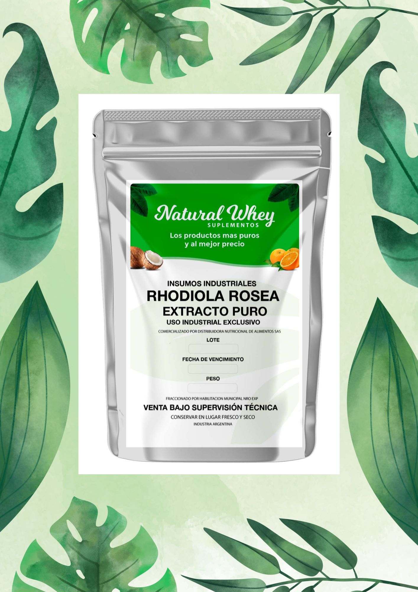 NATURAL WHEY RHODIOLA  20 GRS