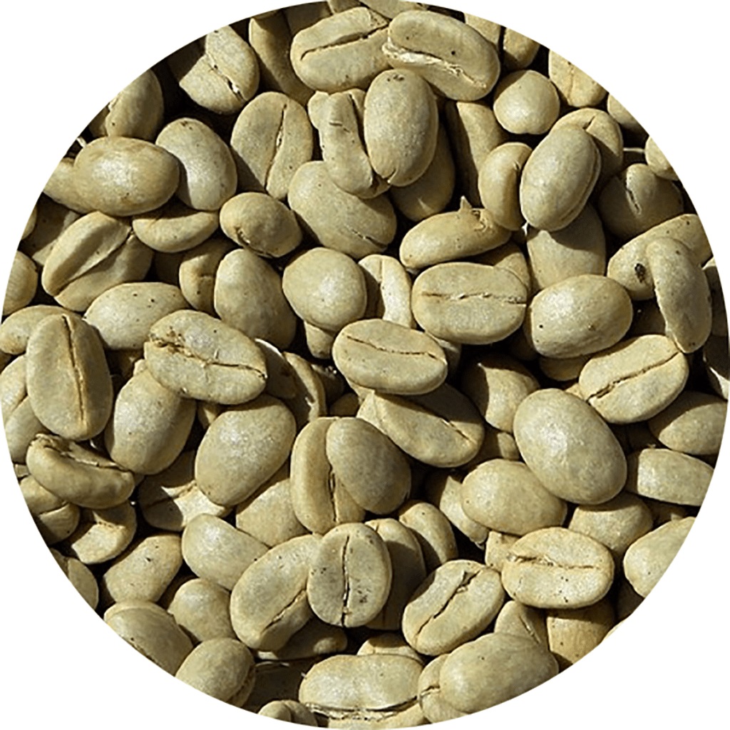 Hierbas Del Oasis KG CAFE VERDE 1 Kg