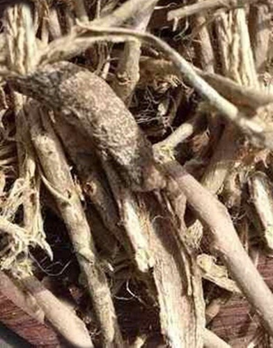 Hierbas Del Oasis KG CONDURANGO 1 Kg