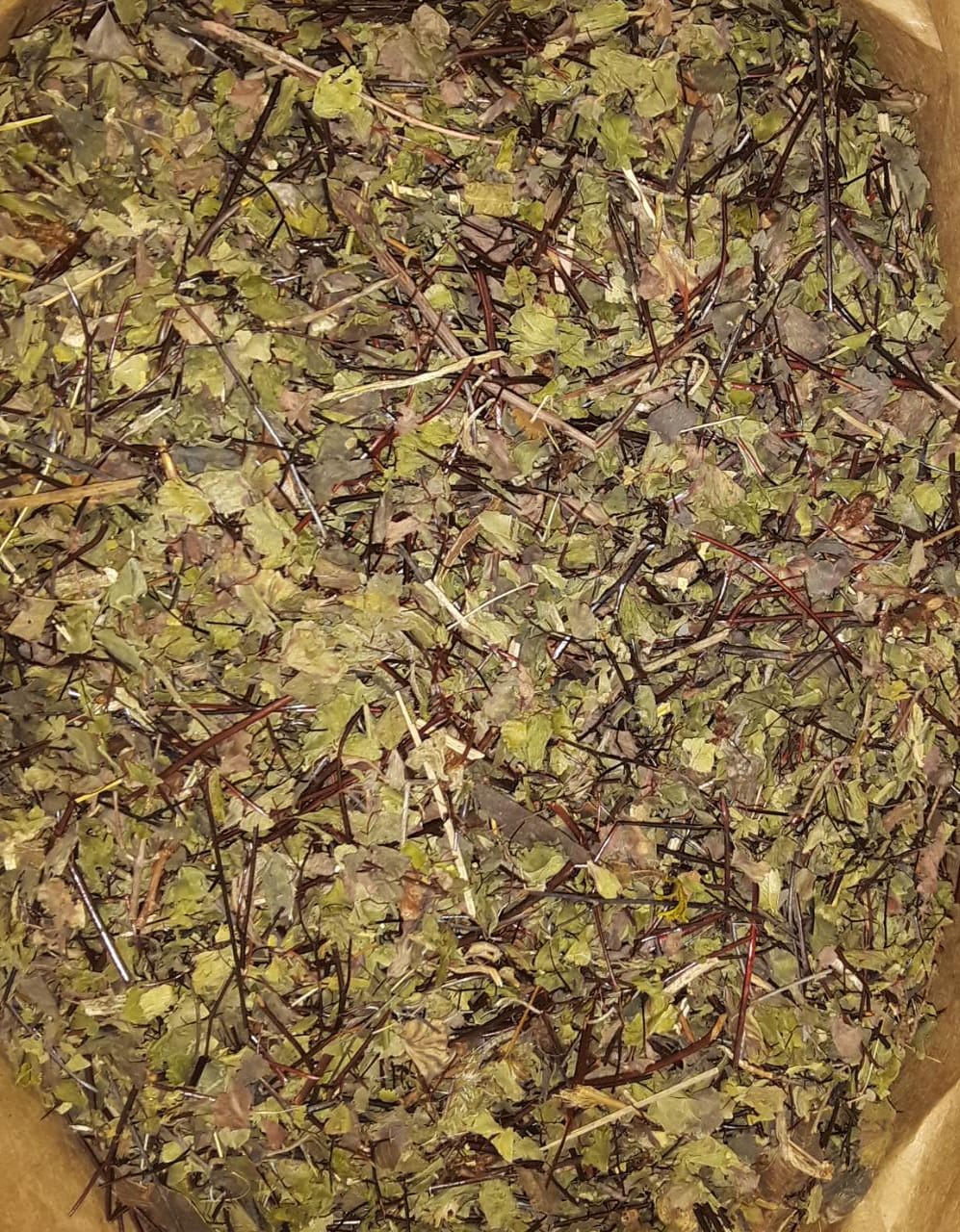 Hierbas Del Oasis KG CULANDRILLO 1 Kg