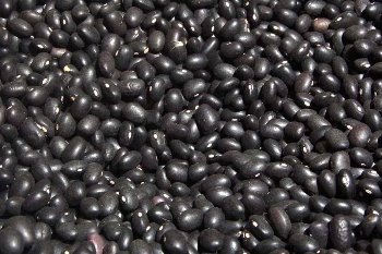 Yin Yang POROTO NEGRO 5 kg