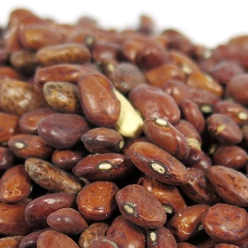 Yin Yang POROTO REGINA 5 kg