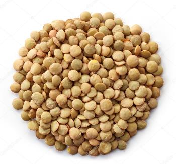 Yin Yang LENTEJON 6MM 5 Kg