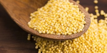 Yin Yang MIJO PELADO 5 kg