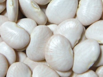 Yin Yang POROTO PALLAR 5 Kg