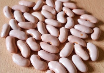 Yin Yang POROTO ALUBIAS 5 kg