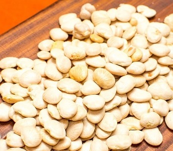 Yin Yang POROTO MANTECA 5 kg