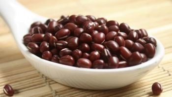 Yin Yang POROTO PITAI 5 kg