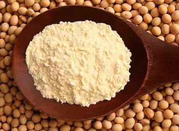 Yin Yang HARINA DE SOJA TOST 5 kg