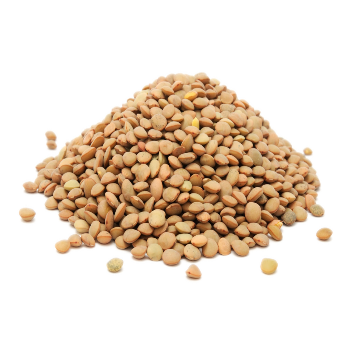 Yin Yang LENTEJAS 5 Mm 5 kg