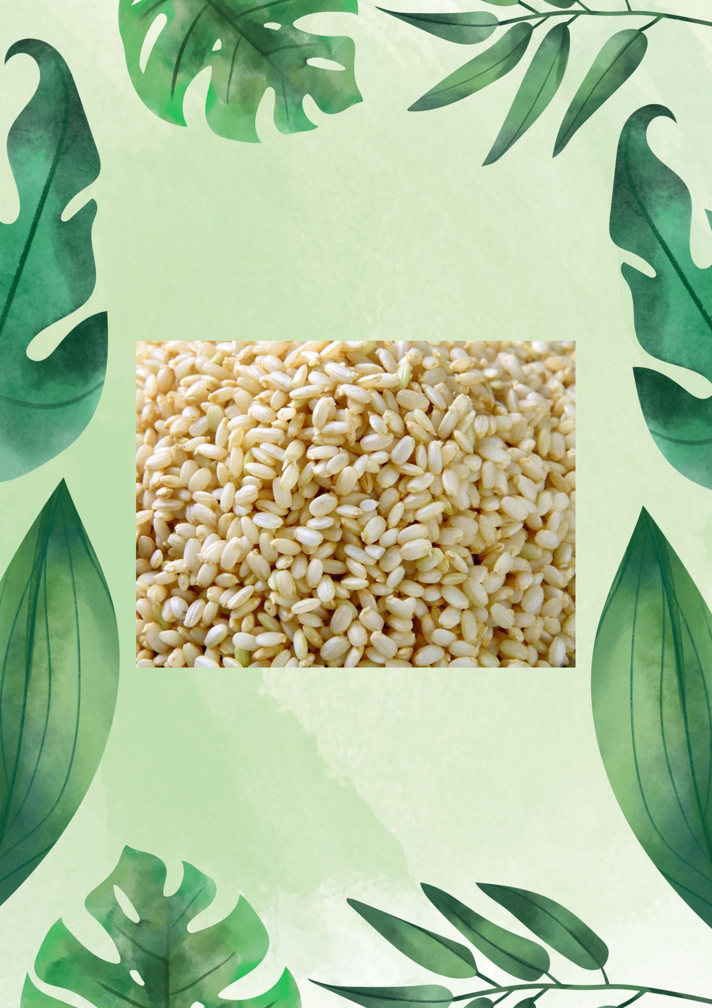 ALIM DEL PLATA ARROZ YAMANI 1 KG