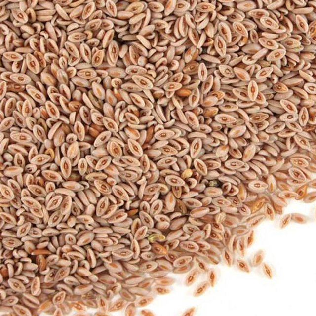 ALIM DEL PLATA ZARAGATONA 1 KG