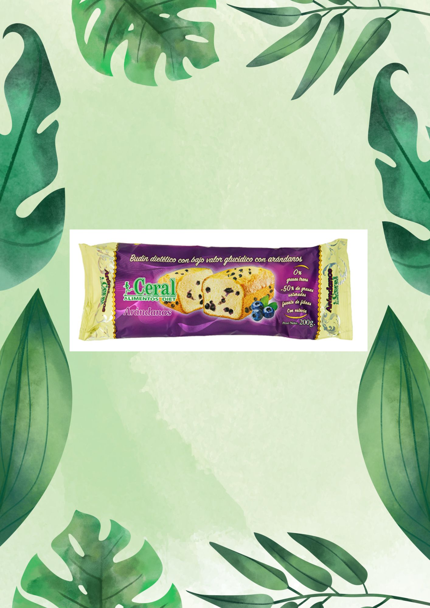 Ceral BUDIN ARANDANO 200 grs