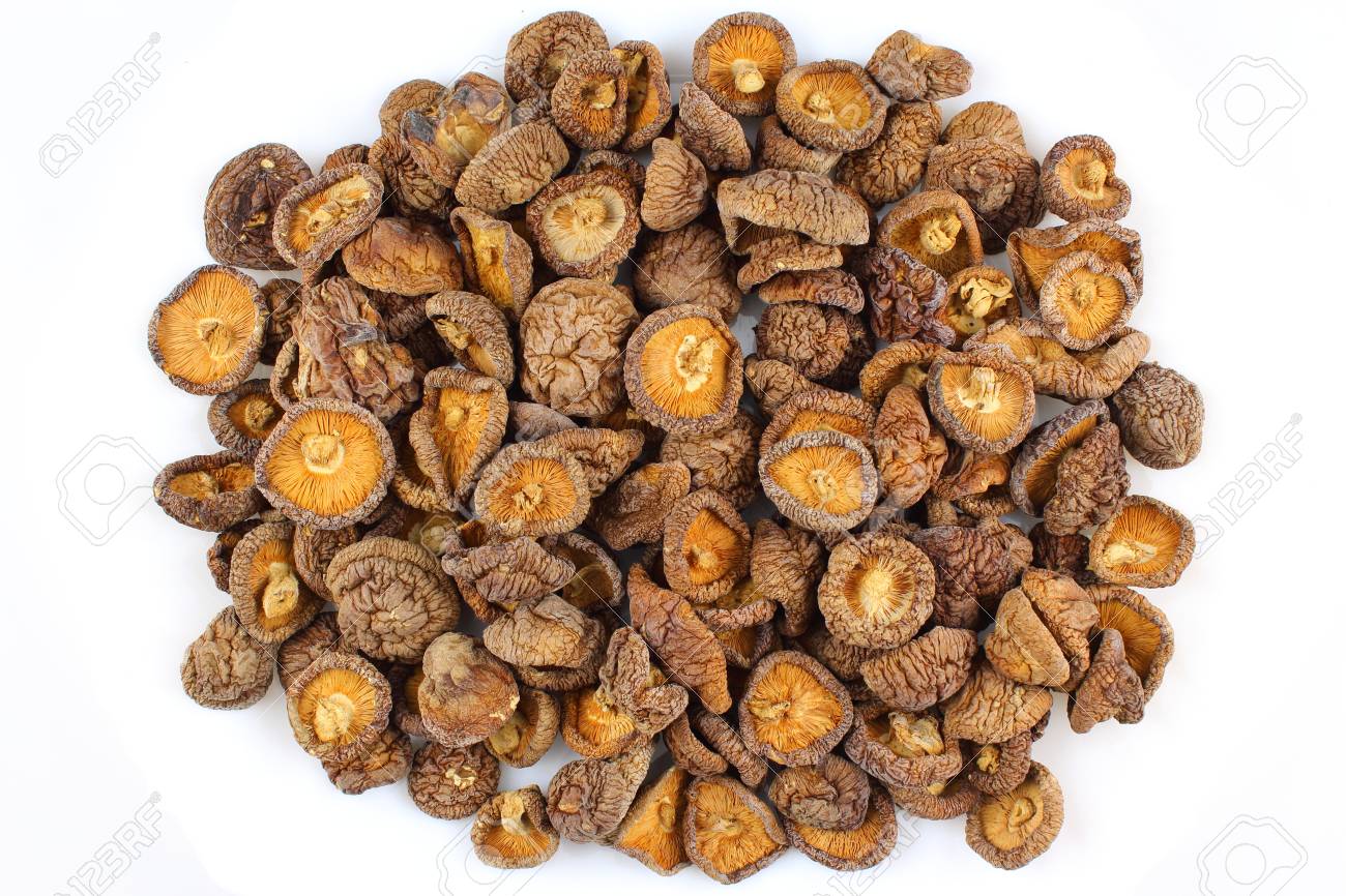 MELAR HONGO SHITAKE ENTERO 1 KG