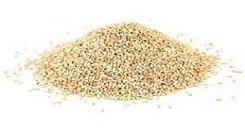 QUERCUS SEM QUINOA 5 KG